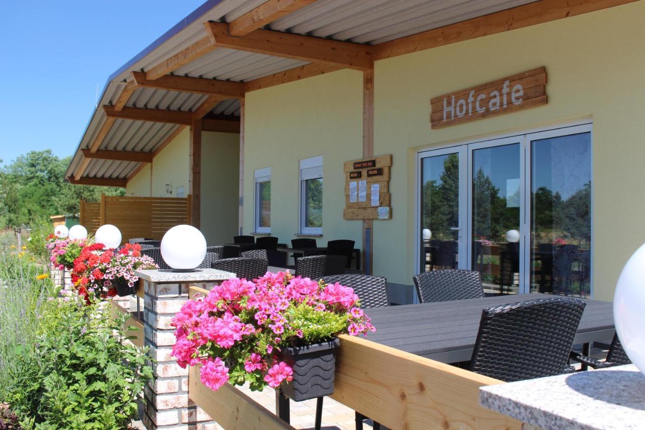 Torhaus Terra Nova Villa Elsterheide ภายนอก รูปภาพ